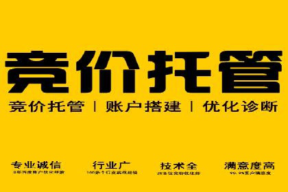 竞价广告的胜利者：某公司如何借助竞价推广公司实现业绩突破
